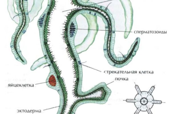 Мега даркнет маркет ссылка тор